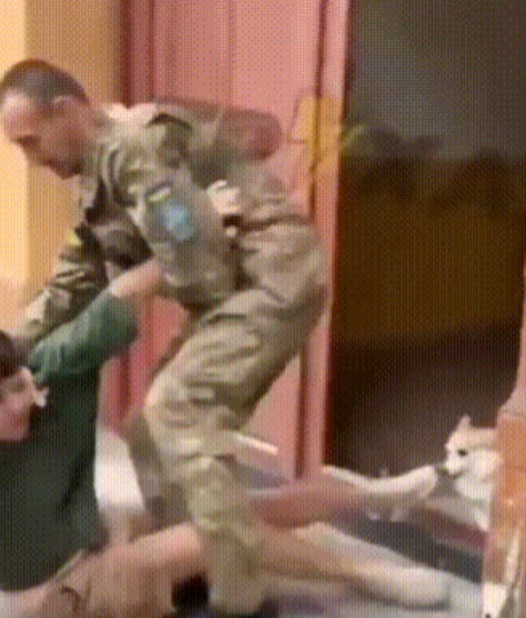 乌克兰征兵官强闯民宅，架着胳膊绑架男主人，柯基急得直跳脚近日，乌克兰网友又发