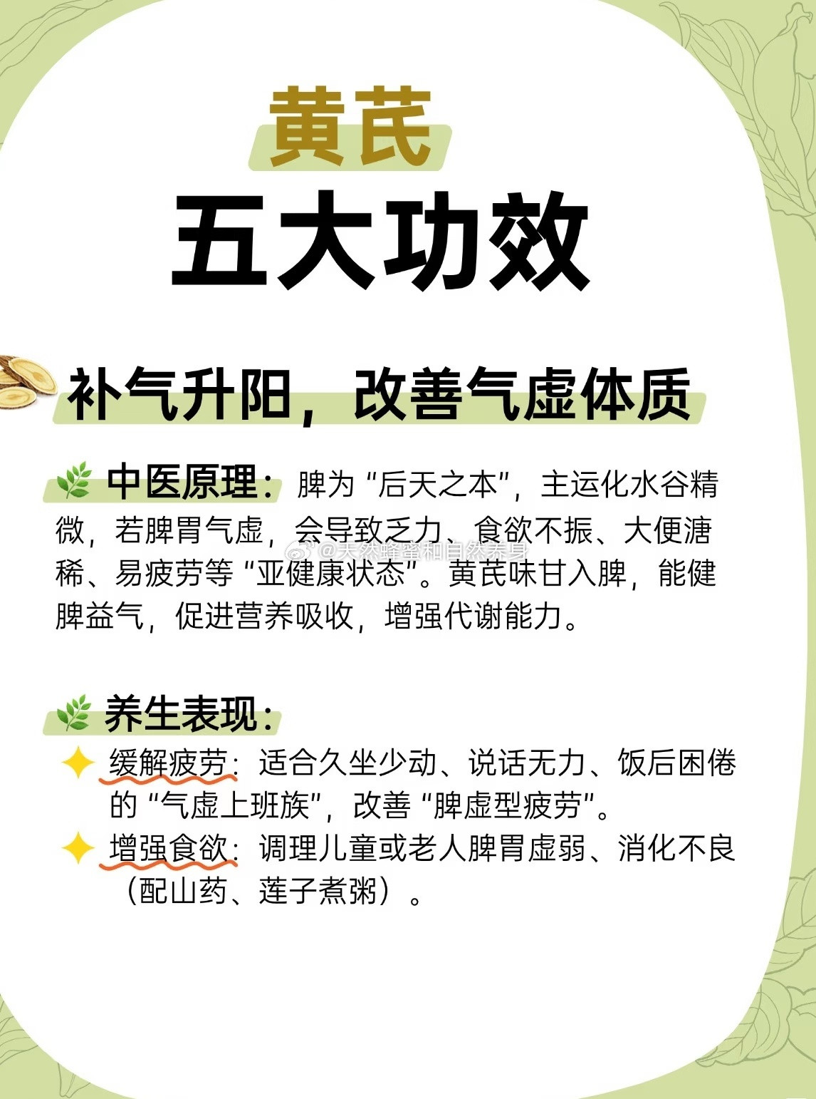 黄芪补气升阳，改善气虚体质中医原理：脾为"后天之本"，主运化水谷精微，若脾胃气虚，会导致乏力、食欲不