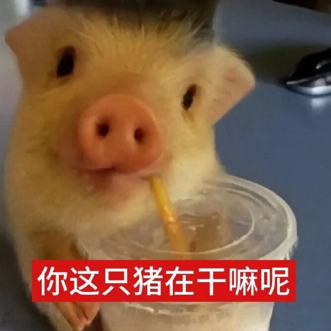 你最讨厌奶茶里加什么料