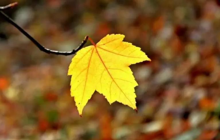 我一个朋友欠我22000，整整五年。五年里，我跟她要过无数次。她总是说缓一缓、