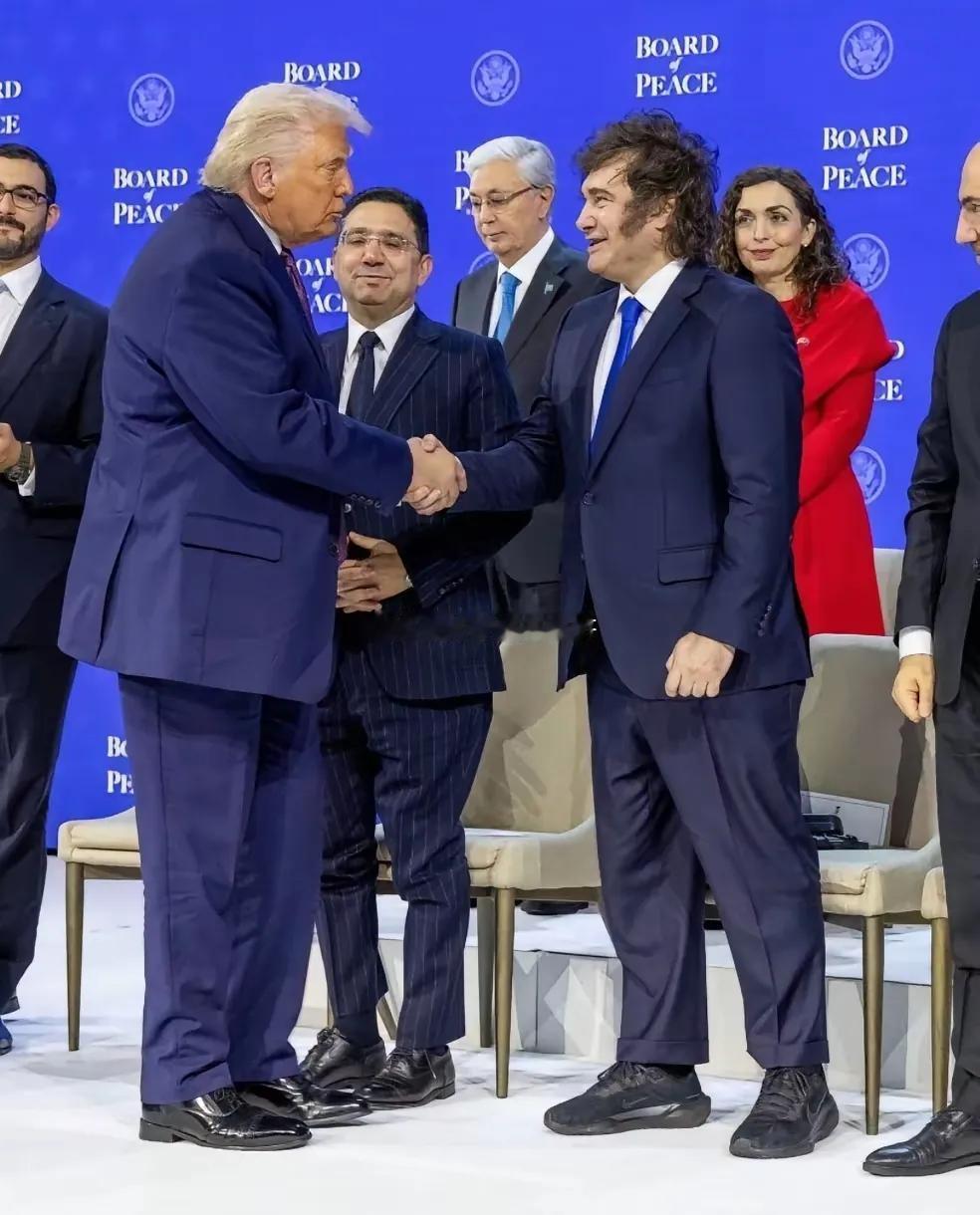 米莱甚至比税宗更会整活儿。很多智力有缺陷的人一看米莱的装扮，就忙不迭地开始吹捧，