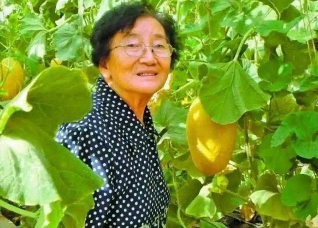 武汉女大学生吴明珠，放弃了城里的工作，趁父母不注意，连夜逃往新疆，父亲称要与她断