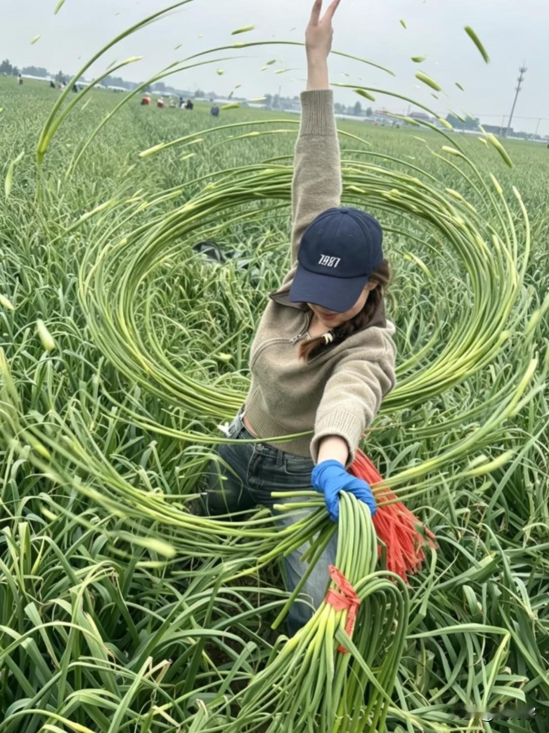 最近河南蒜苔丰收滞销，网友们一边心疼蒜农，一边整出了各种名场面，这张“蒜苔螺旋丸