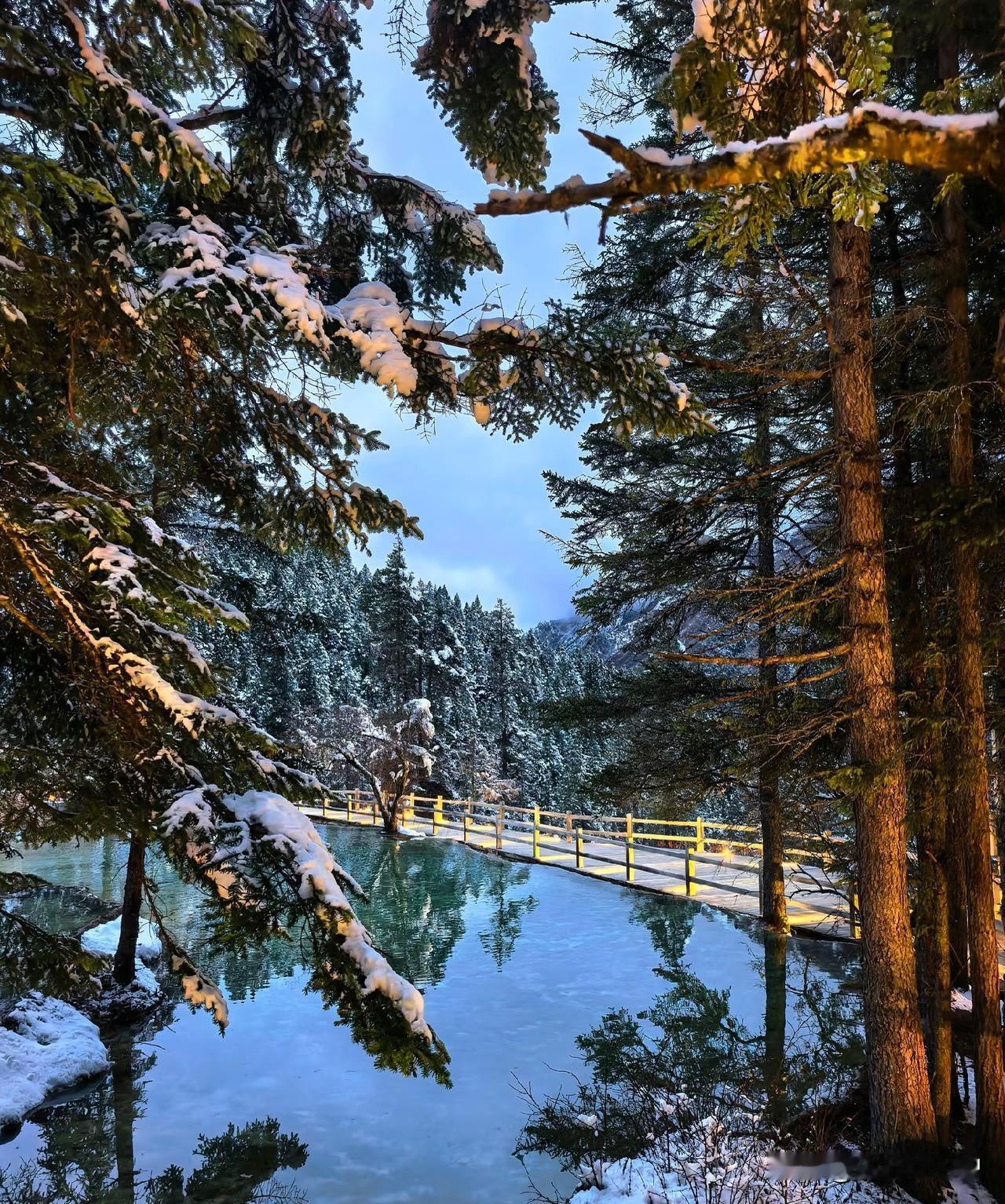 没去过黄龙的朋友，听我一句劝：真心劝退！这趟行程从凌晨5点多到茶店子客运站就开始