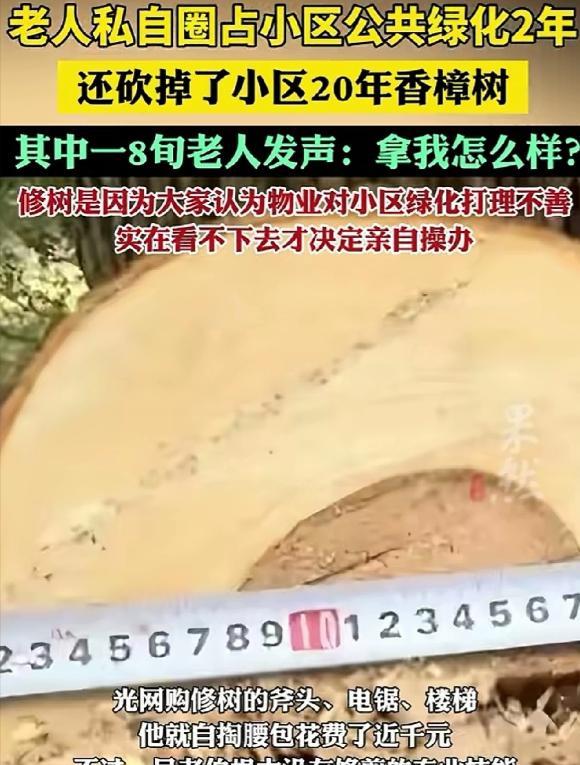 上海，一群老人不知咋想的，把小区绿化带圈成了私人花园，在里面种上了各种花。物业和