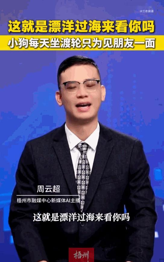 天下之大无奇不有！ 湖北荆州长江边最近出了件稀奇事。一只毛色乌黑的小狗，为了每天
