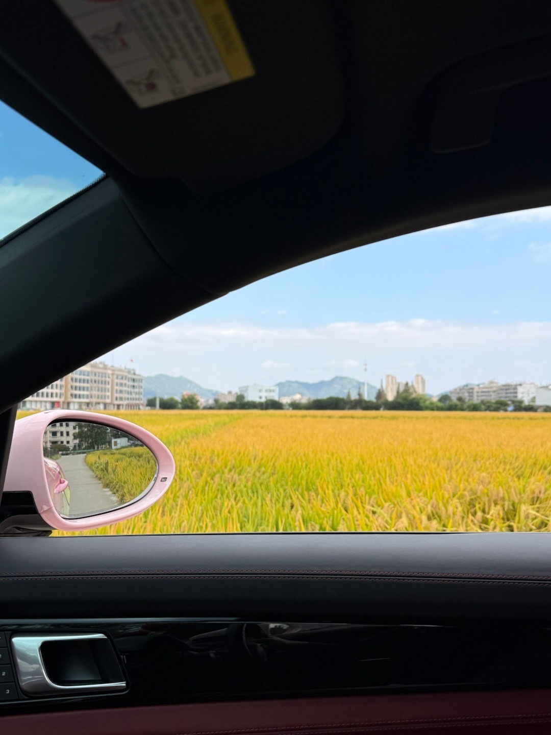 秘密基地发现我爸买了一只咪咪小的猪笑用了​​​