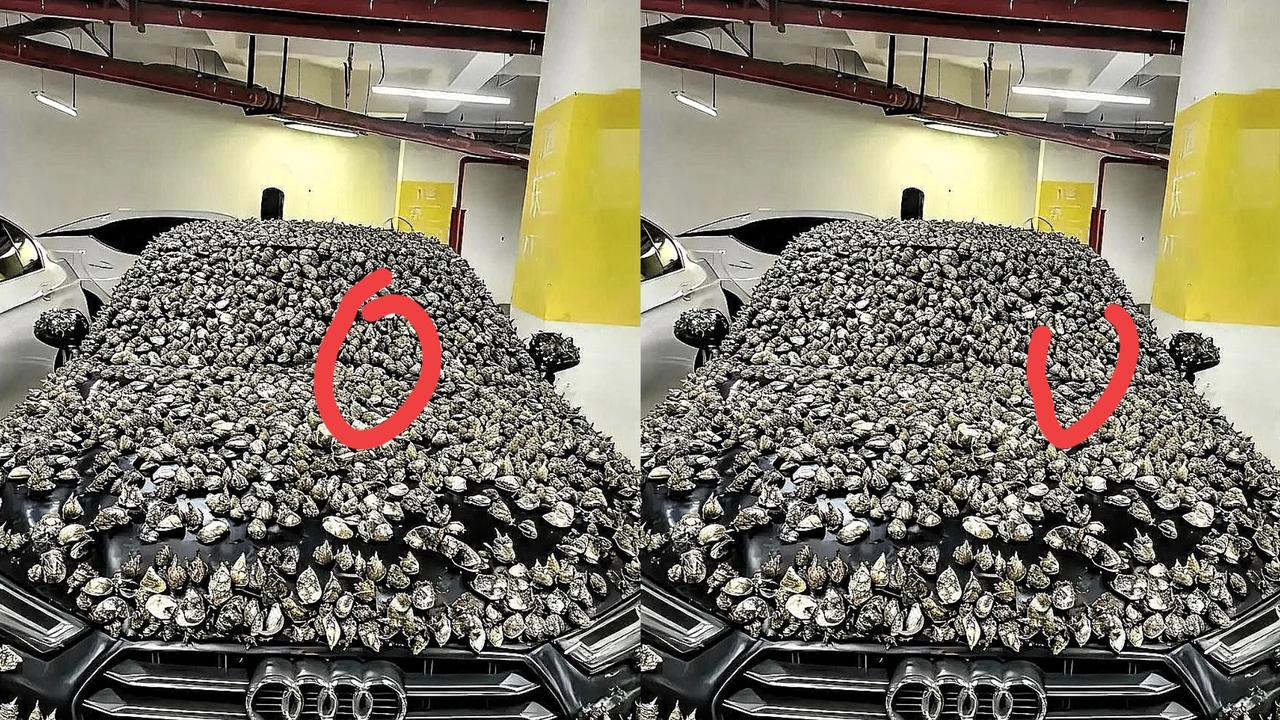 一分钱不要，也得让你长记性！”业主车位被霸占10天，一怒之下做了这种事自己