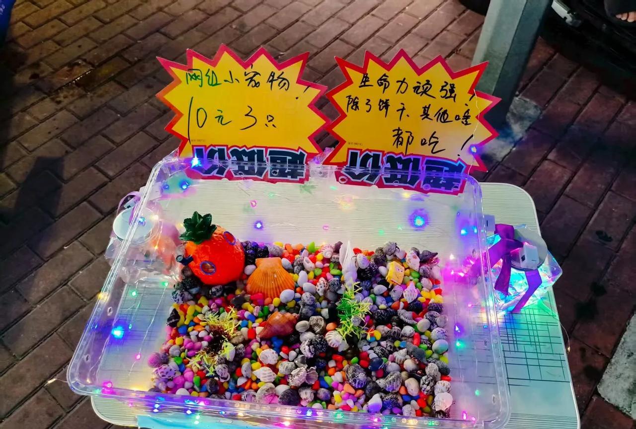 同样的错事干了两次，真是想掐死自己的心都有了。昨天去市中心摆摊就卖了10块钱，