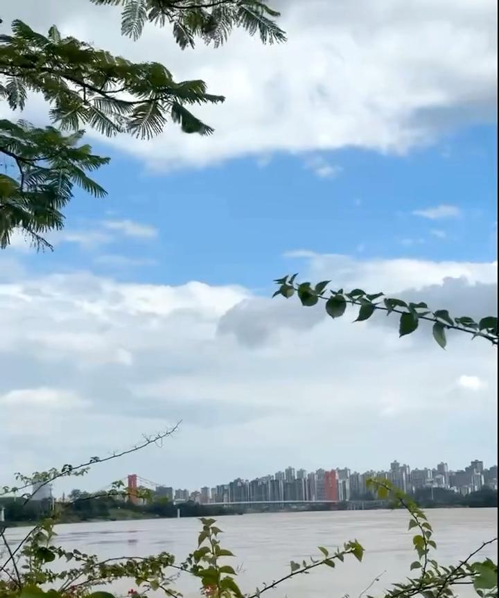我的天呀，这邕江水。客观地说，不何止因为越南泄洪，百色右江那边也是大暴雨发洪