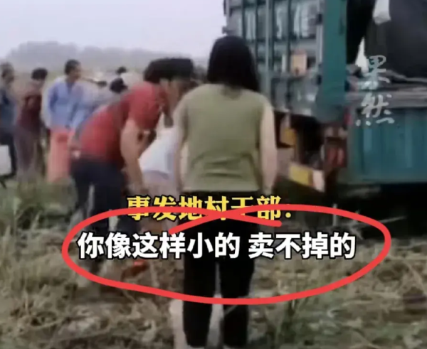 土豆遭百名村民哄抢，农户：抢了四五天，损失十来万，事发村干部：他允许过来的，像这