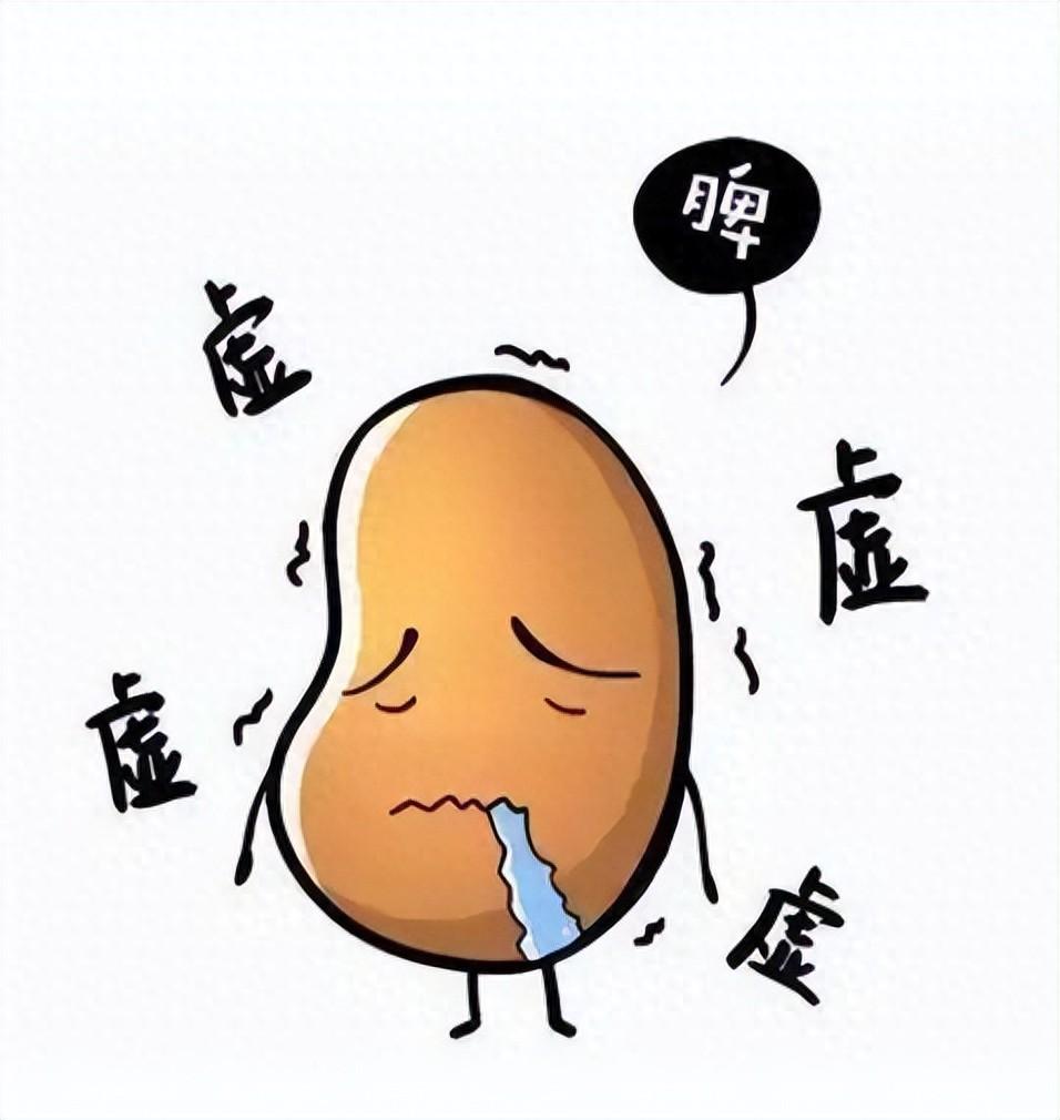 气血虚是最大的病！送你一剂皇家秘方，健脾益气、祛痰湿、化瘀血！作品声明：个人观