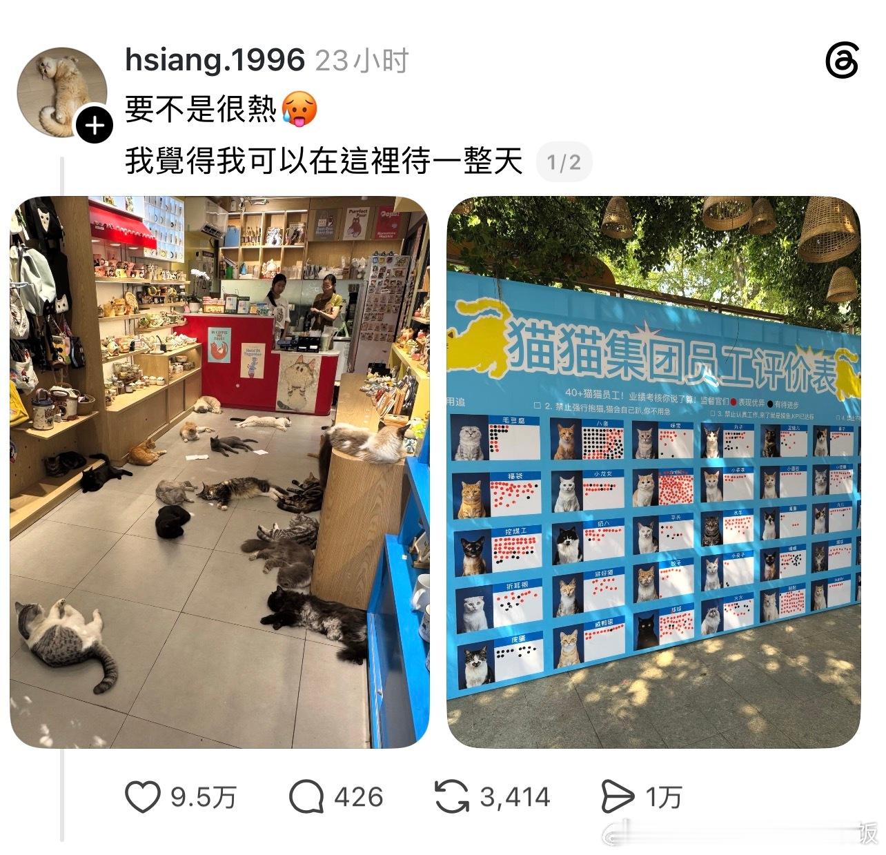 打工喵的员工评分墙情感热点创作激励计划
