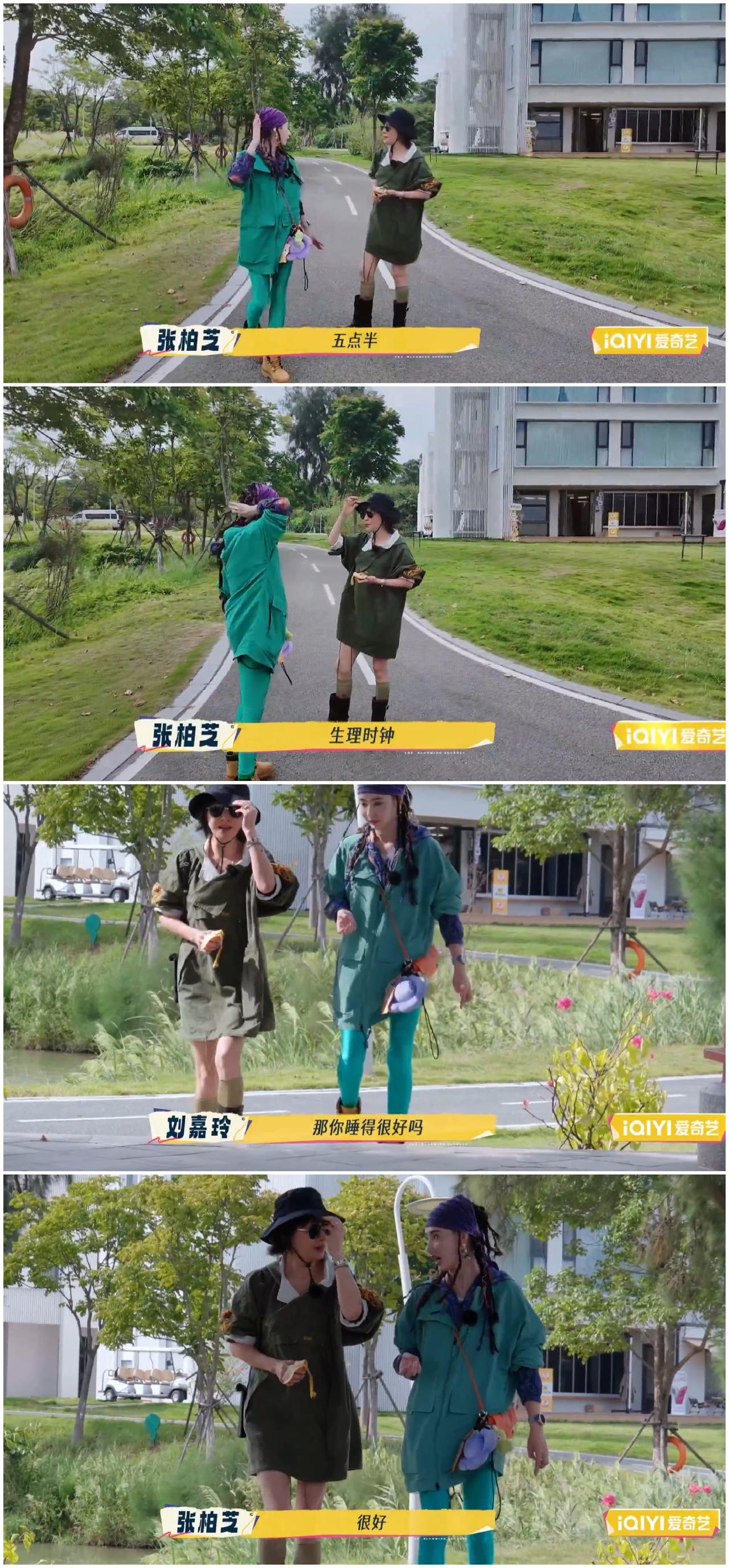 “失眠党”有救了，张柏芝每天5点多就起床，睡觉质量超级好，刘嘉玲好奇她的特