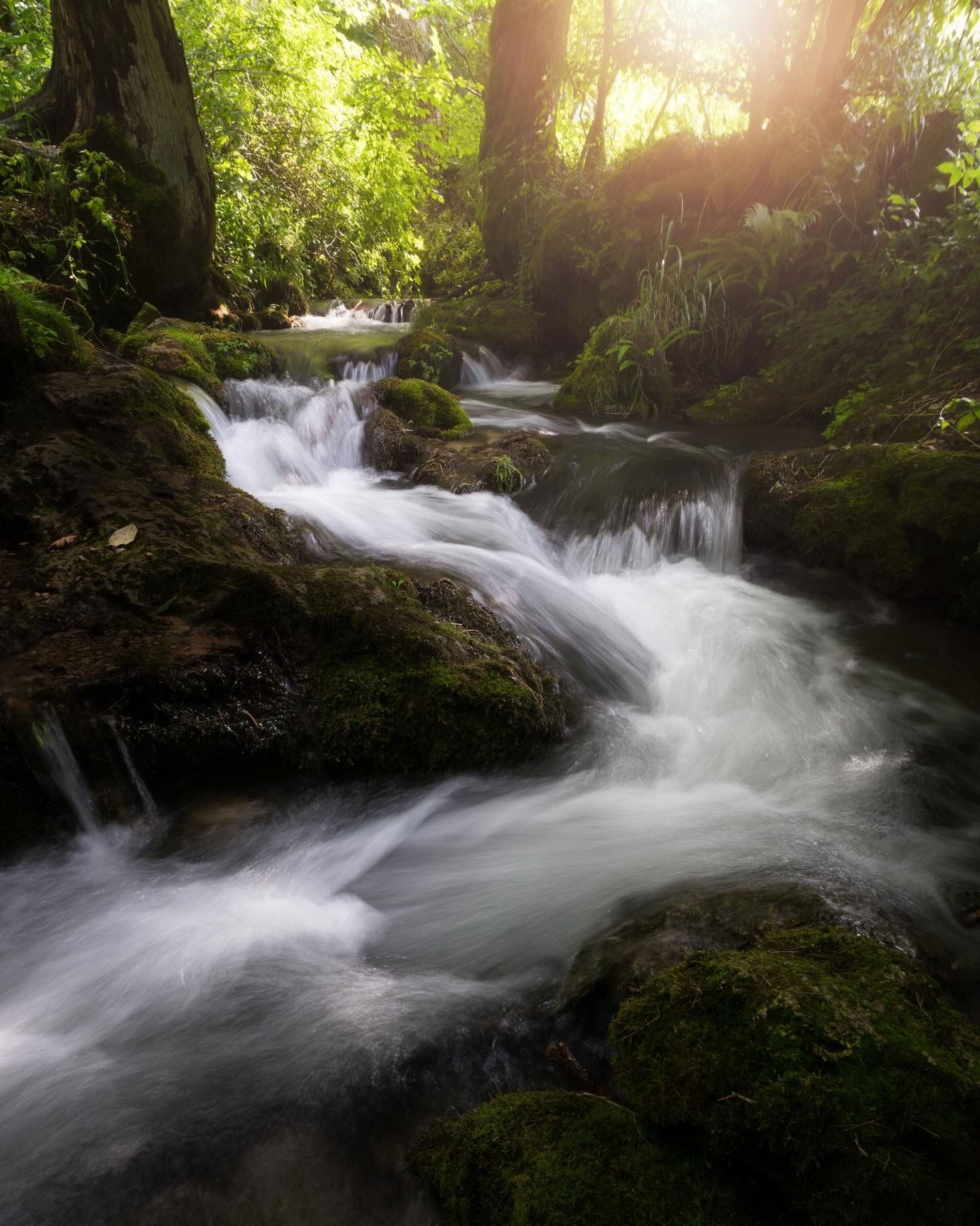 𝙒𝙚𝘾𝙝𝙖𝙩｜风景壁纸｜背景图｜手机壁纸｜审美积累｜高清无水印｜鲜花