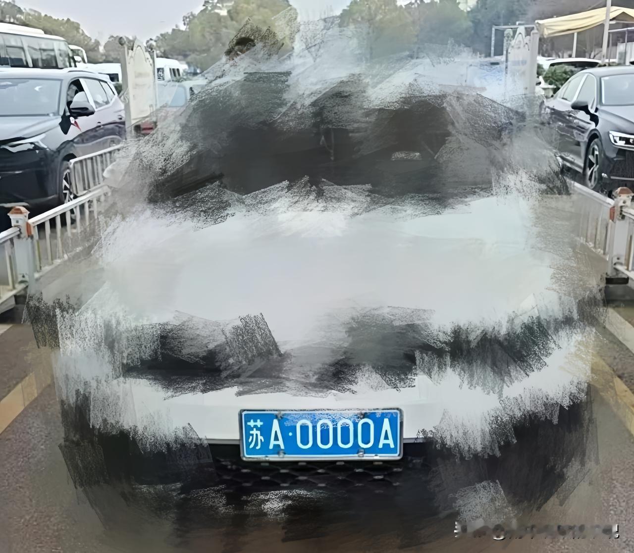 苏A0000A爆火！摇到豹子号真的是好运吗？南京大姐选车牌摇中苏A0000