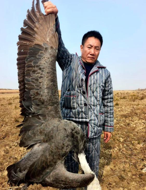 鄱阳湖出事了，志愿者在禁猎核心区摸黑巡护时捡到一包白色颗粒，一验成分是被农业部明