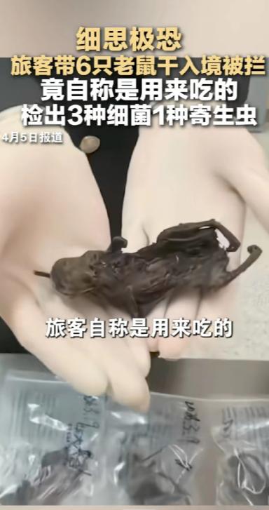 “细思极恐”！真的越想越让人后怕，2026年3月19号，合肥新桥机场海关，工作人