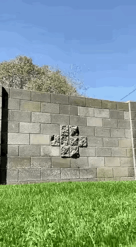 这个猫不是一般人能养得起。