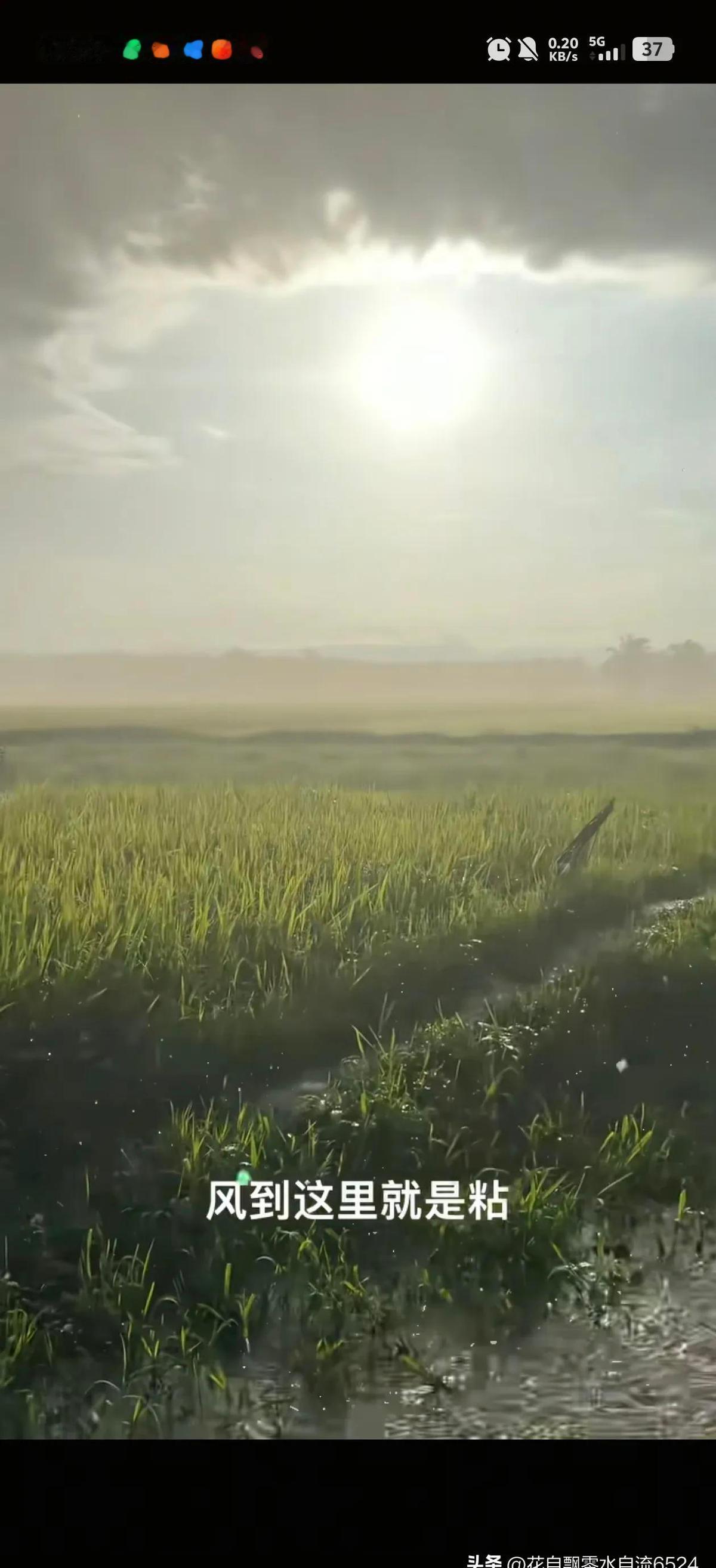 做了20年工，结果这老哥一句“勤劳根本致富不了”，直接把遮羞布给扯下来了，听得人