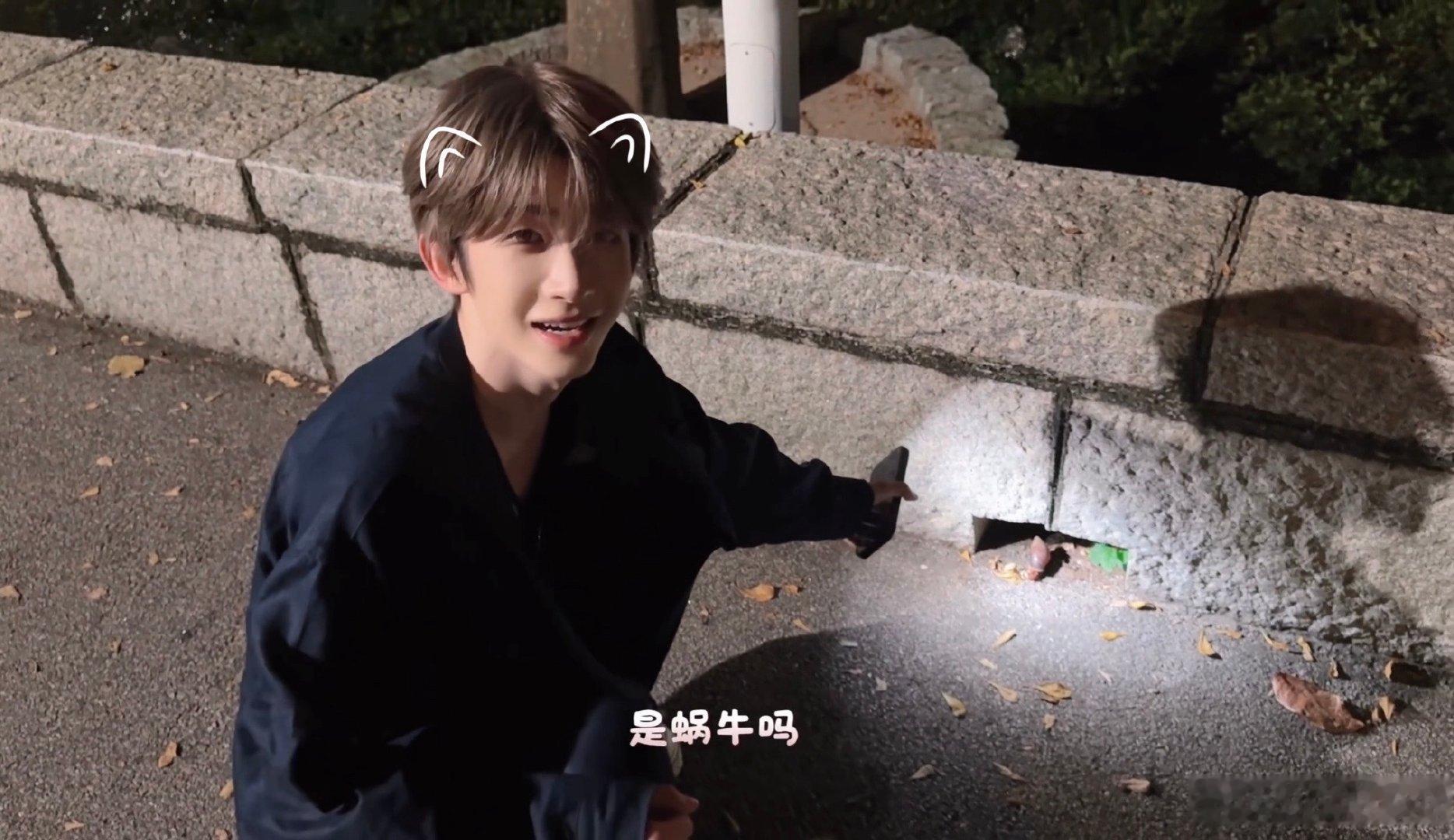 小猫咪：​