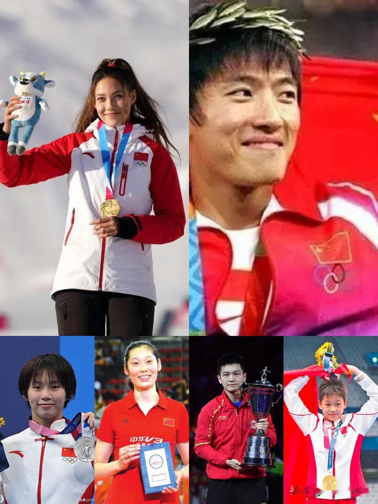 【网爆运动员的真正目的】全红婵被网爆！樊振东、陈梦、郭艾伦被网爆！孙杨、刘