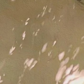 每一天都是新的篇章，用微笑迎接朝阳，用行动书写辉煌。不畏风雨，不惧挑战，积极向上