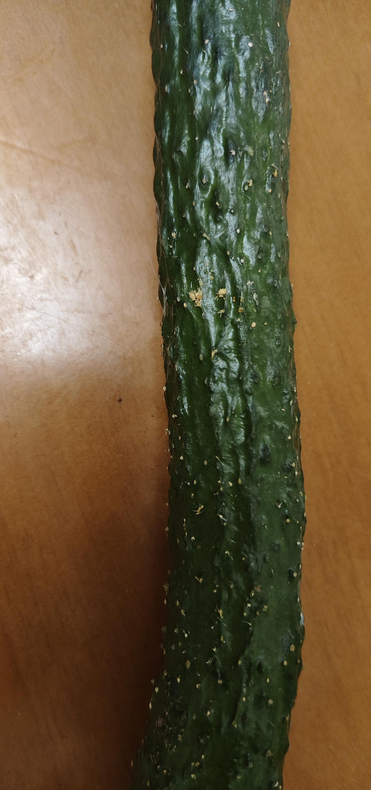 二型糖尿病患者的午餐；先吃一条青瓜，要去皮的[捂脸哭]。再吃鱼，这是剥皮鱼。