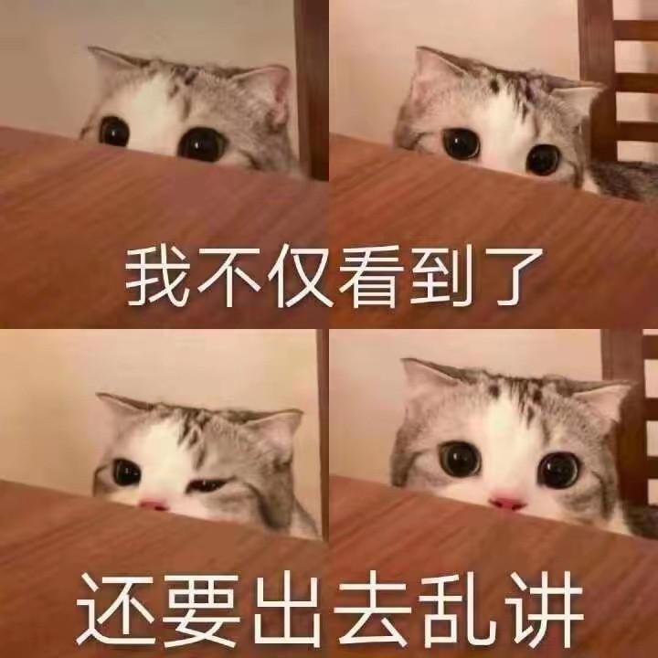 本子摄影师对老式西裤是真爱啊…[晕][晕][晕][晕][晕][晕]​​​