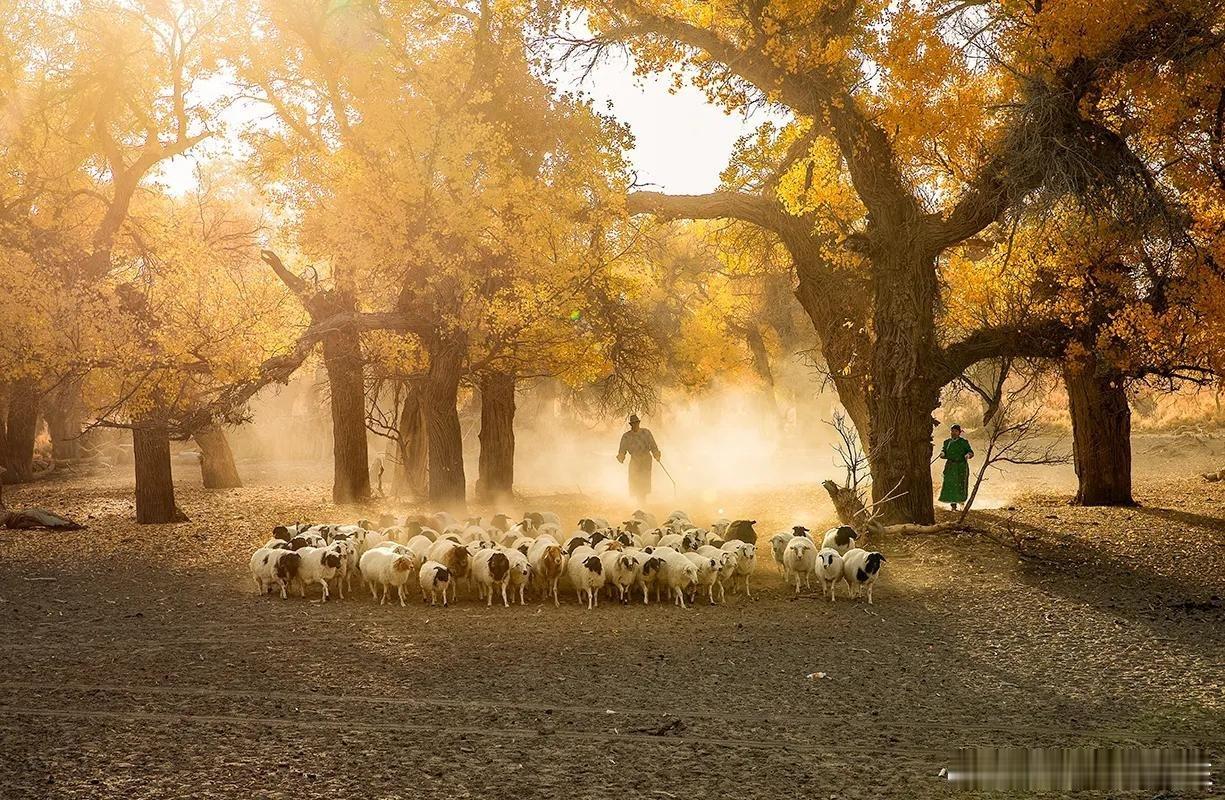无题万里云霄隔，千山雨雪茫。何时天地眼，看见世炎凉。