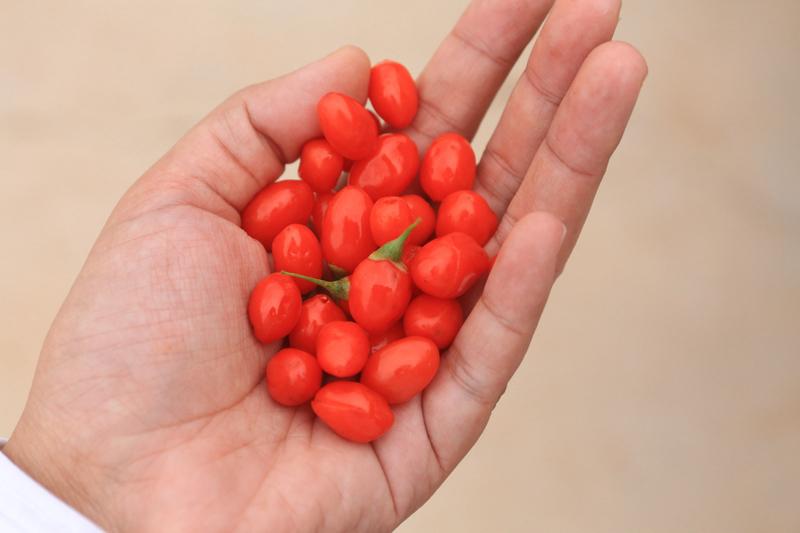 女性补气血有不少方法。饮食上是个很好的途径，像红枣就是补气血的明星食物，富含维生