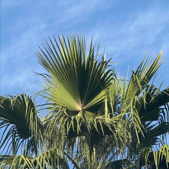 工学博士曹志强履新 11月27日，今年50岁曹志强博士履新。 曹博士是7