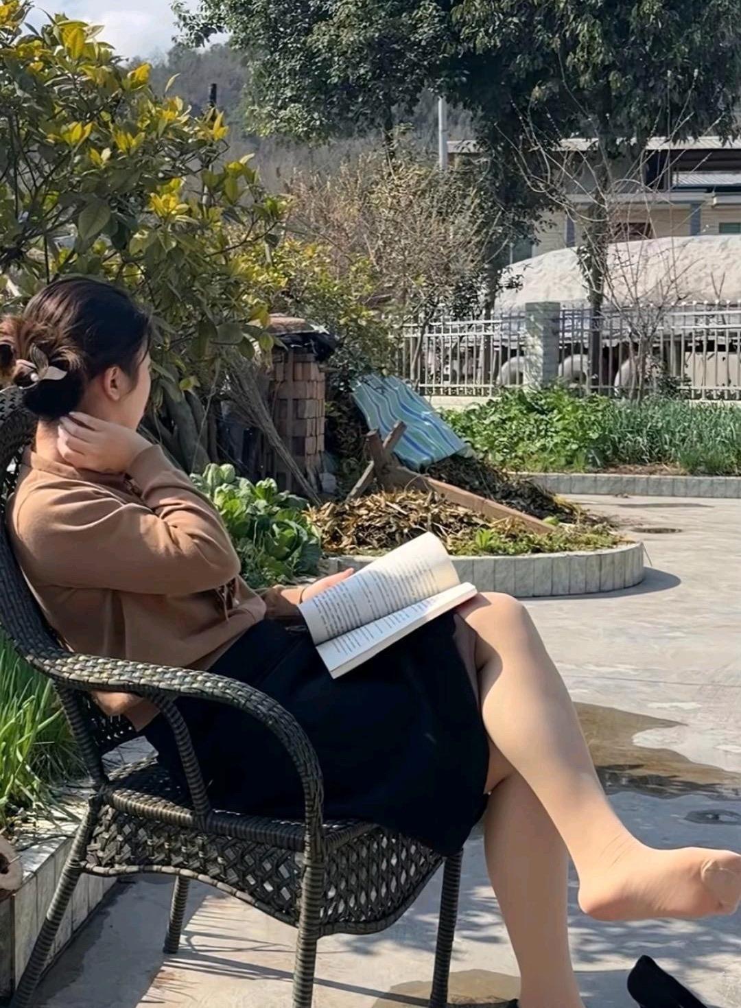 一本书一个故事