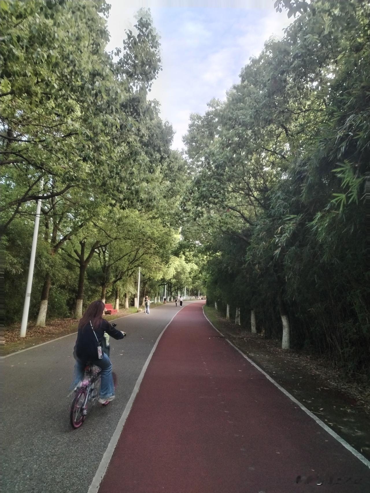 5公里跑步需要多久时间?无跑步基础的小白，40分钟左右，8分钟的配速，普通业