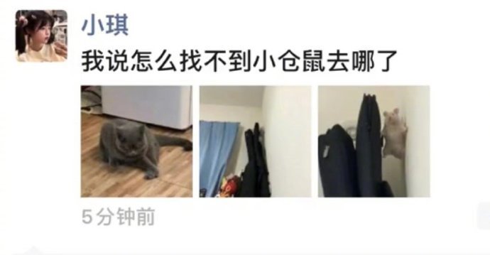 哈哈哈哈哈哈哈，鼠鼠臂力惊人！[笑着哭]​​​​