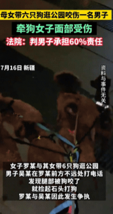 “都是冲动惹的祸！”乌鲁木齐，一女子和女儿带着六只狗去逛公园，没想到，狗群里头还