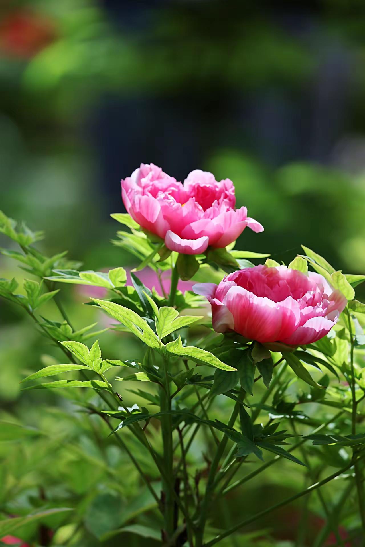 真正高段位的女人，滋养男人不靠讨好，靠这5点一、情绪滋养：给他稳定的“情绪