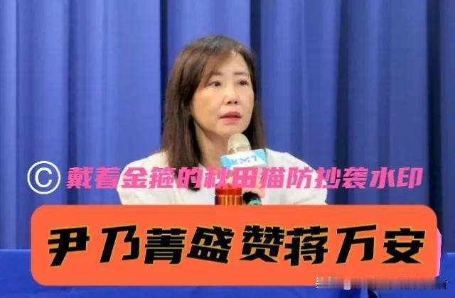 蒋万安被尹乃菁盛赞！愤怒七连问霸气反击绿民代，前文传会主委夸赞其已成为岛内愤怒