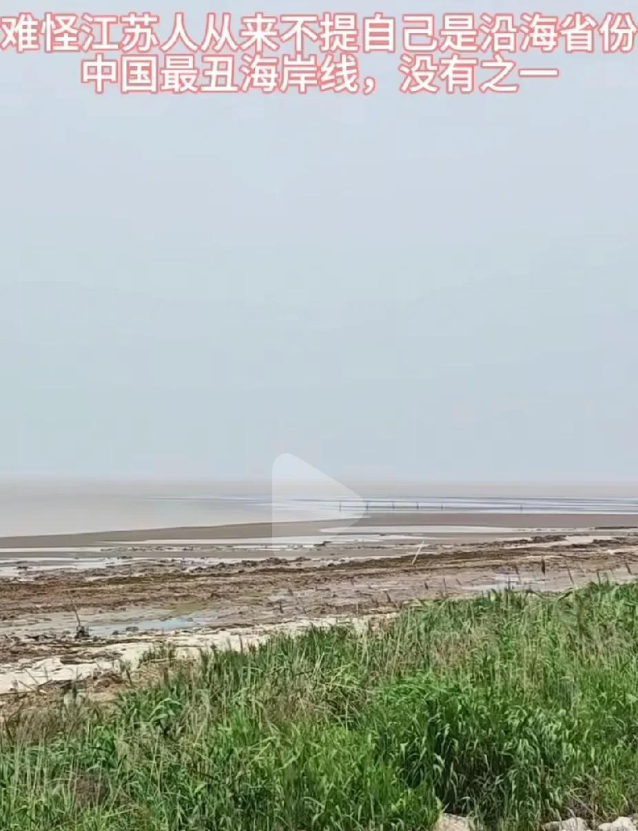 听说这是江苏的海岸线，真的是丑到家了啊！貌似上海的沙滩也不咋样吧，都说去上海看
