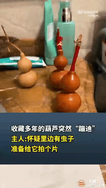 解释不清了！辽宁沈阳马先生珍藏的文玩葫芦，之前放柜子里，某天放阳台晒太阳，其中一