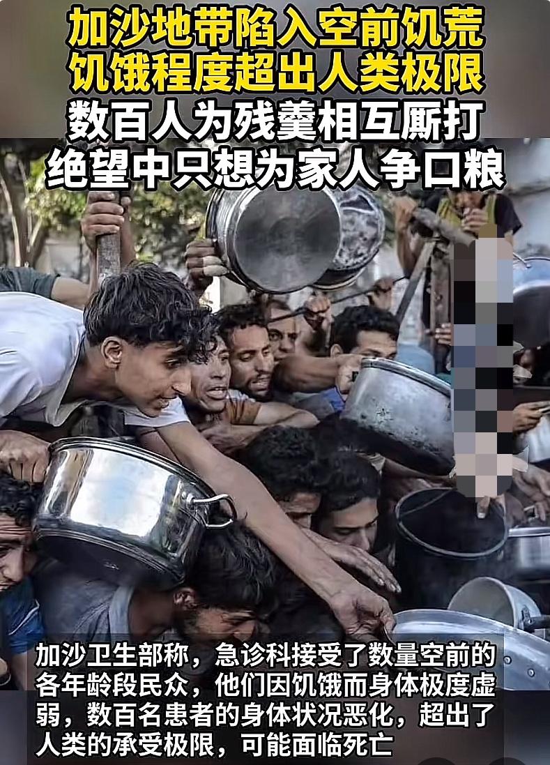 加沙的饥荒现状太令人惊讶。联合国世界粮食计划署宣布，因以色列封锁，加沙所有其支持
