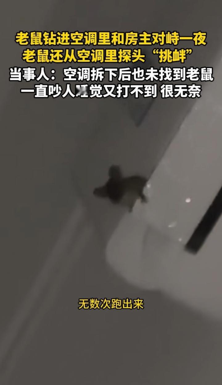 近日四川成都，一35岁女子晚上睡觉，却总是听到空调里有声音，吵的她睡不着觉，靠近