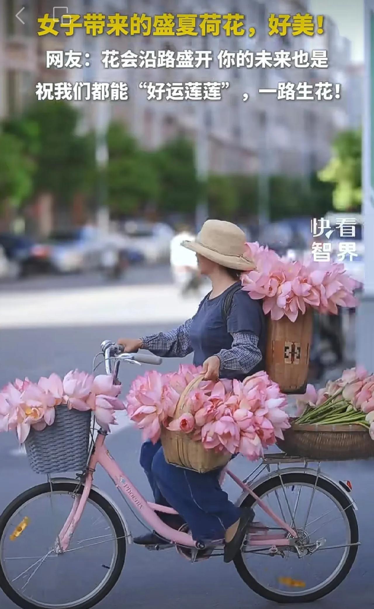 女子带来的盛夏荷花，好美！网友：花会沿路盛开，你的未来也是！祝我们都能“好运莲莲