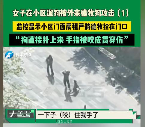 “又一起狗伤人案件！”河南郑州，一女子在小区遛狗，突然蹿出一只大德牧，女子被扑倒