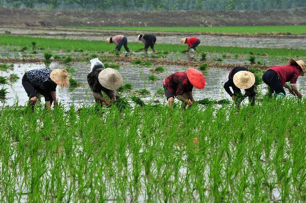 当年温铁军提“人民经济”，被三大名家围剿，骂声铺天盖地！几年过去，那些高薪高