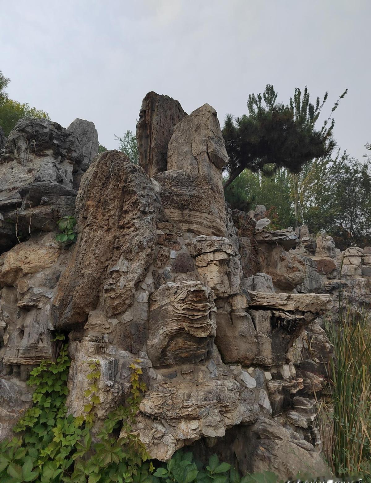 练八段锦时一盯呼吸，反而喘不上气——不是你不会，是你太想会。人本来就会呼吸，像