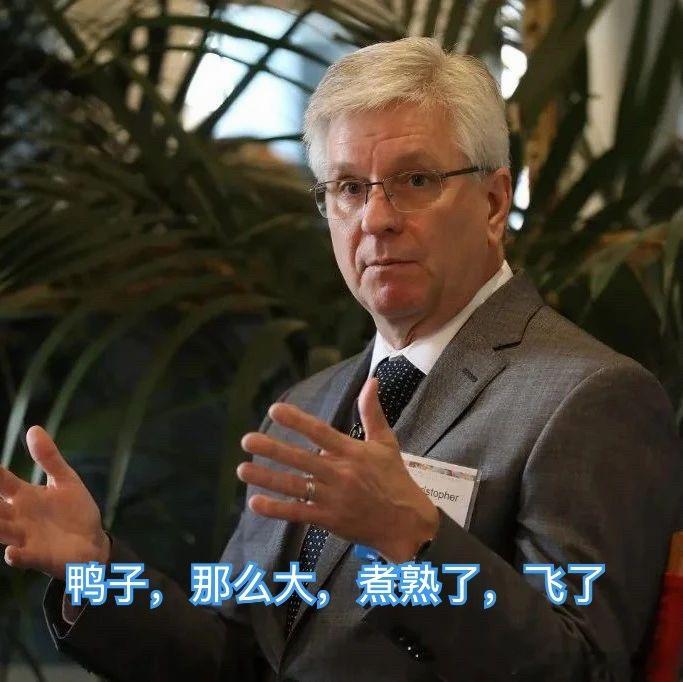 实锤了！美联储高层开始互撕了！哈哈哈哈哈！所有实锤料，全出自《华尔街日报》首席美
