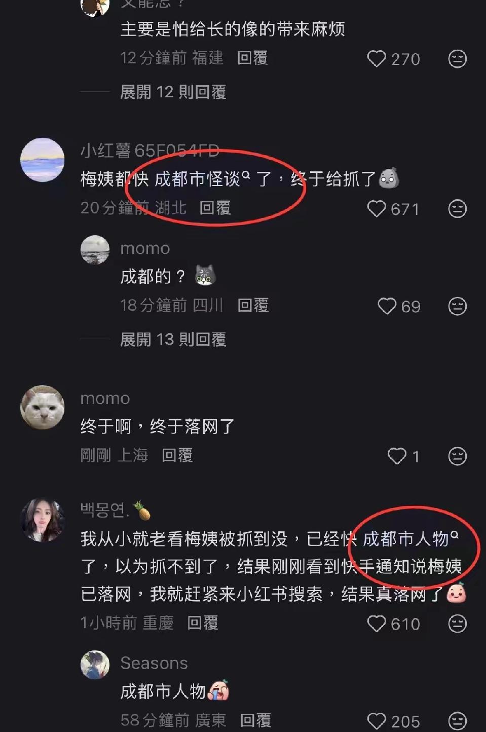 梅姨被抓了？我真的记忆错乱了！明明印象里她早就被抓了。