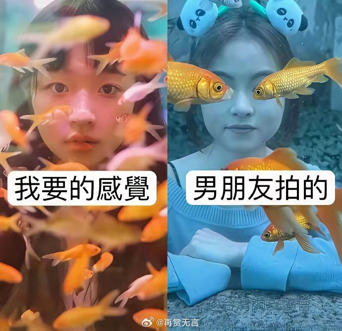 有一个会摄影的男朋友，该多重要啊！