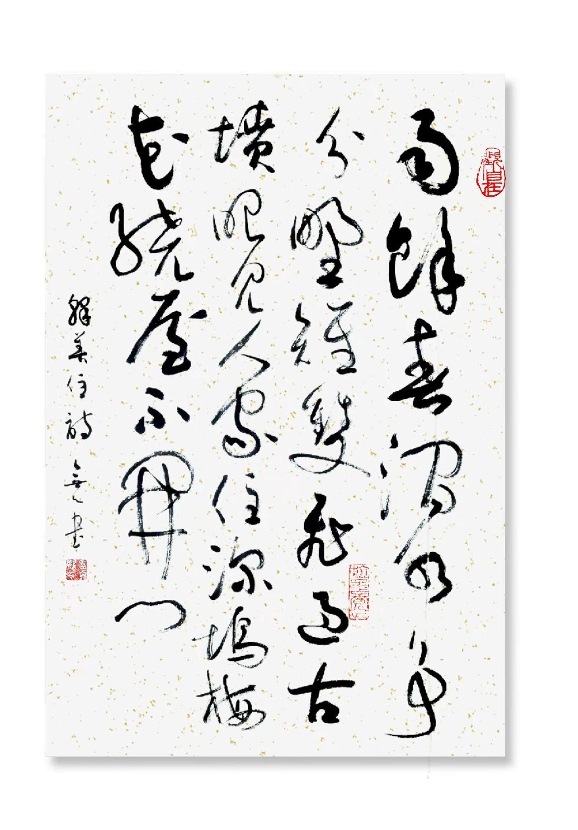 释善住诗一首。草书写了一些时间，现在看有点平了，创造性不足，还是基本功问题，心里